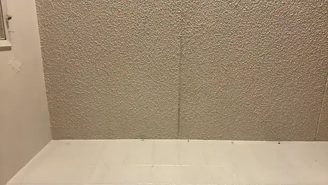 ashisscene online show from June 2026 06:29:01 AM