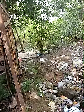 bairobunde online show from September 2025 04:18:02 AM