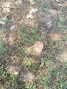 bairobunde online show from April 2026 08:10:01 AM