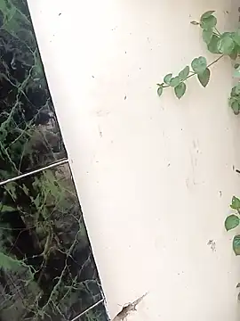 bairobunde online show from April 2026 08:17:02 AM