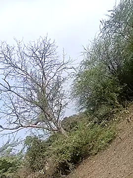 bairobunde online show from February 2026 09:52:02 AM