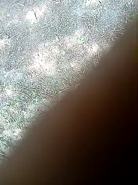 bairobunde online show from March 2026 05:52:02 AM