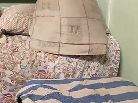 calme odl1 online show from October 2025 11:23:01 AM