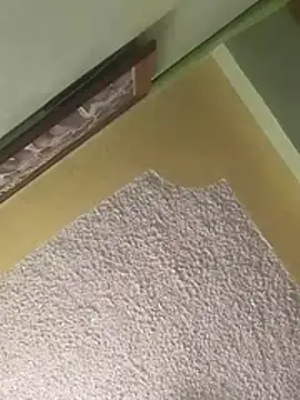 calme odl1 online show from March 2026 10:26:02 AM