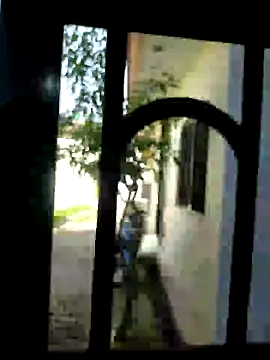 Snapshot of kris478 chatting on September 2025 08:54:01 AM kris478 online show from September 2025 08:54:01 AM