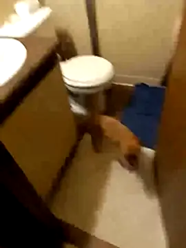 taterae online show from October 2025 05:21:01 AM