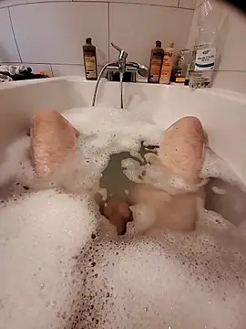 Jerome2312 online show from April 2026 12:45:01 PM