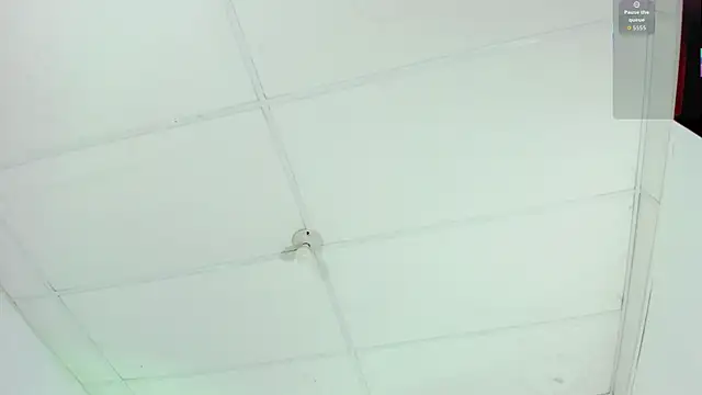 cutie sarax1 online show from November 2025 12:10:02 PM