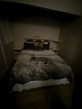 siniminandspice online show from March 2025 12:37:02 AM