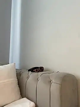 Snapshot of laraaaaaa chatting on February 2026 07:41:01 AM laraaaaaa online show from February 2026 07:41:01 AM