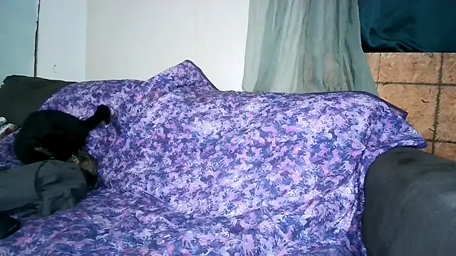 donut024 online show from March 2026 01:15:01 PM