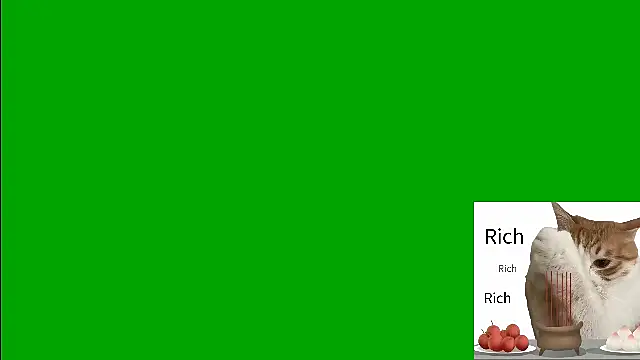 Snapshot of CC-777888 chatting on August 2026 02:48:02 PM CC-777888 online show from August 2026 02:48:02 PM