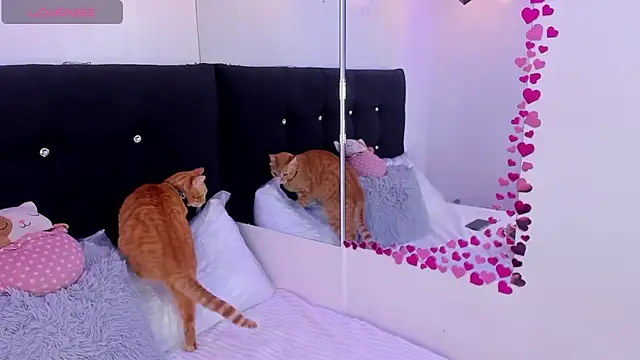 Anniie  Evans online show from March 2026 05:05:01 PM