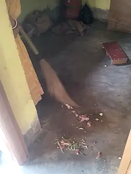 devarbhabhisexpower online show from April 2026 02:29:02 AM