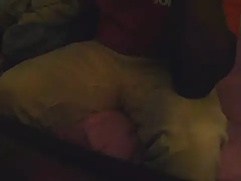 Fuckmehardandcloudy online show from March 2026 08:46:01 PM