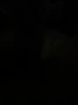 Erickhotddjots online show from May 2026 07:16:01 AM