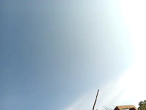 lilpip online show from November 2025 04:02:02 AM