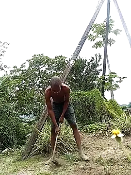 lilpip online show from April 2026 12:51:01 PM