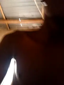 lilpip online show from February 2026 09:08:01 AM