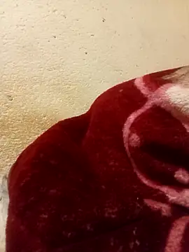 lilpip online show from April 2026 12:28:02 AM