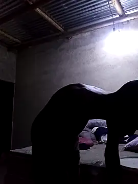 lilpip online show from February 2026 07:13:01 PM