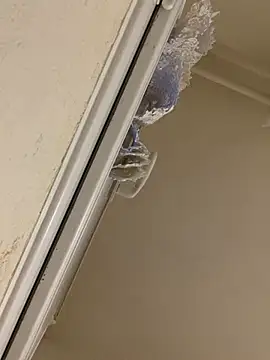 daniel21p online show from March 2025 06:34:02 PM