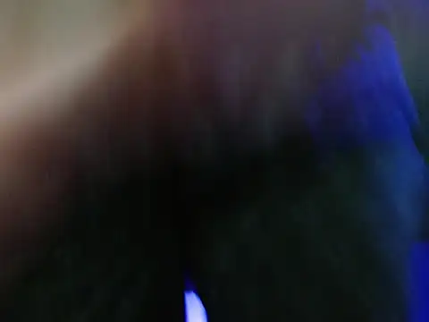 Pandora 9666 online show from January 2026 03:05:02 PM