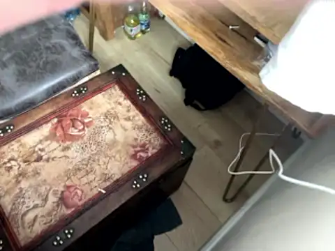 femboybandi online show from January 2026 02:24:02 PM