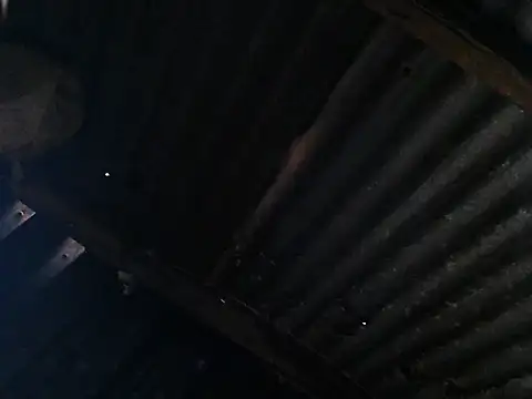 LoveDropss online show from September 2025 07:48:01 AM