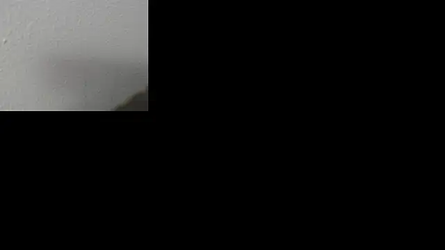 ava-am online show from November 2025 03:44:01 AM