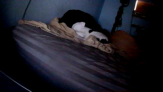 PornStro921 online show from February 2026 08:20:02 PM