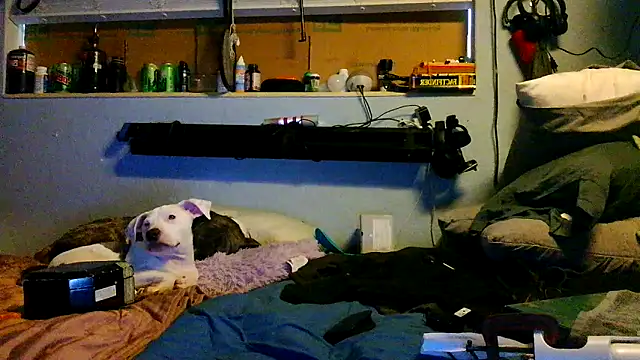 PornStro921 online show from March 2026 08:45:01 PM