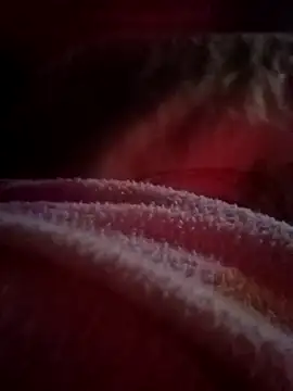 coringarato online show from December 2025 12:00:02 AM