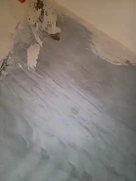 Snapshot of heena-3678 chatting on September 2025 01:50:01 PM heena-3678 online show from September 2025 01:50:01 PM