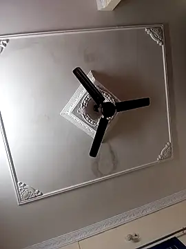 Snapshot of heena-3678 chatting on December 2025 11:53:01 AM heena-3678 online show from December 2025 11:53:01 AM