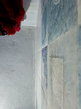 wildfun  online show from October 2025 05:40:02 AM