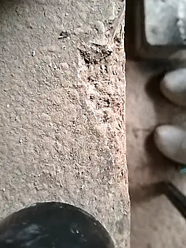 Snapshot of surfacespurt54 chatting on October 2025 09:41:01 AM surfacespurt54 online show from October 2025 09:41:01 AM