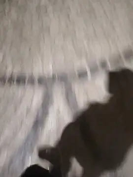 Snapshot of surfacespurt54 chatting on March 2025 11:35:02 PM surfacespurt54 online show from March 2025 11:35:02 PM