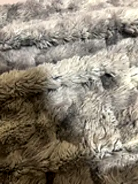 Snapshot of Gabduro80 chatting on November 2025 09:59:02 PM Gabduro80 online show from November 2025 09:59:02 PM