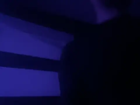 gryzoon online show from January 2026 12:28:01 AM