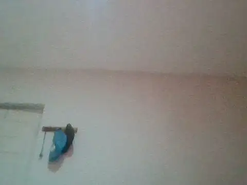 bafeng online show from July 2026 09:38:02 AM