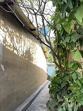 twinks 28 online show from February 2026 07:14:01 PM