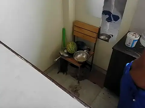 fitbuddy1 online show from February 2026 06:25:01 AM