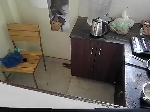 fitbuddy1 online show from March 2026 07:08:01 AM