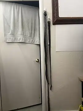 August 26 online show from March 2025 10:00:02 AM