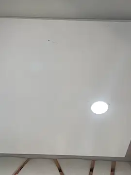 Madisson-Rivas online show from February 2026 08:31:02 PM