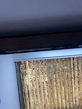 Madisson-Rivas online show from November 2025 06:12:02 PM