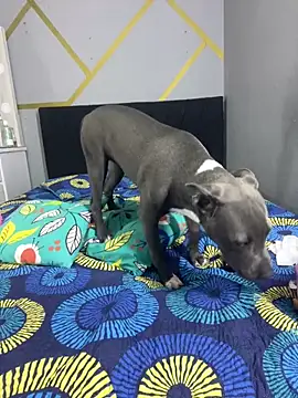 angellicaa  online show from March 2026 02:11:01 PM