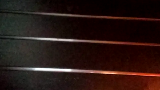 wetnwildforyou online show from October 2025 04:09:01 AM