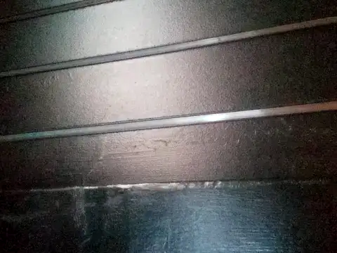 wetnwildforyou online show from October 2025 06:01:01 AM